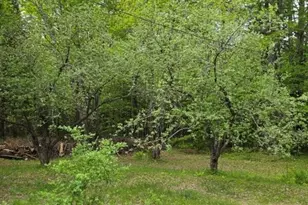 515 Dodlin Rd, Enfield, ME 04493 - Photo 47