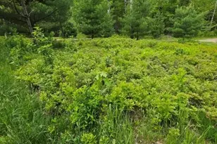 515 Dodlin Rd, Enfield, ME 04493 - Photo 51