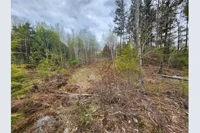 Lot 10 Deer Drive, Embden, ME 04958 - Photo 17