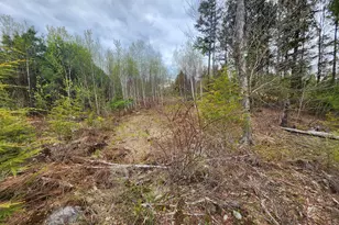 Lot 10 Deer Dr, Embden, ME 04958 - Photo 17