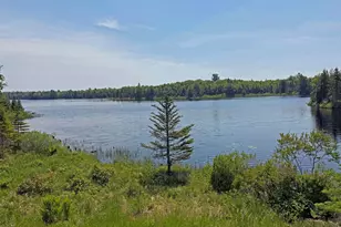147 Old Mill Stream Rd, Sullivan, ME 04664 - Photo 41