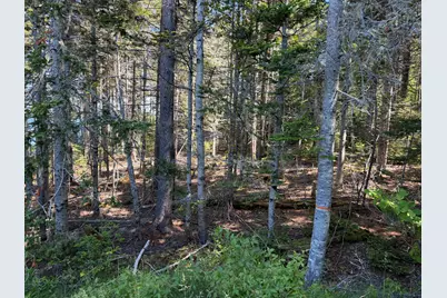 56 Kingsley Farm Road, Gouldsboro, ME 04607 - Photo 11
