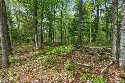 0 Gurneytown Road, Appleton, ME 04862 - Photo 21