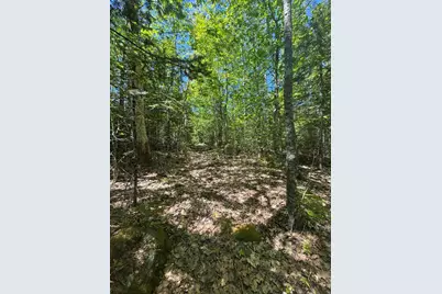 Lot# Bucksmills Road, Bucksport, ME 04416 - Photo 15