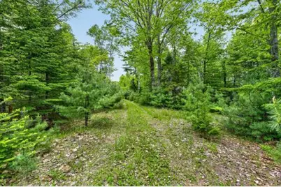 Lot# Bucksmills Road, Bucksport, ME 04416 - Photo 13