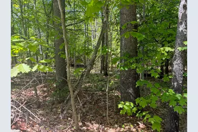 Tbd Middle Road, Waterboro, ME 04087 - Photo 7