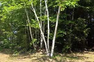 1 Mountainview Dr, Lincoln, ME 04457 - Photo 47