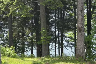 94 Adams Ln, Dedham, ME 04429 - Photo 7