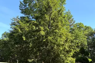 10 Driftwood Trail, Wells, ME 04090 - Photo 79