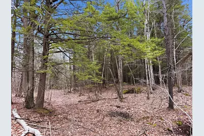 0 Old Portland Road, Brunswick, ME 04011 - Photo 5