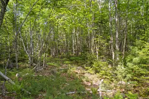 1238 Main St, Hartford, ME 04220 - Photo 35