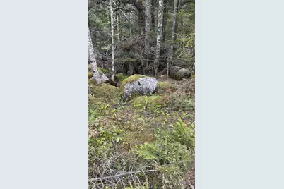 M2 L43 Old Wagon Trail Road, Roque Bluffs, ME 04654 - Photo 19