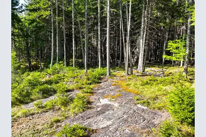 M2 L43 Old Wagon Trail Road, Roque Bluffs, ME 04654 - Photo 17