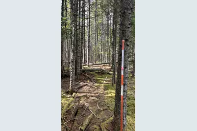 M2 L43 Old Wagon Trail Road, Roque Bluffs, ME 04654 - Photo 21
