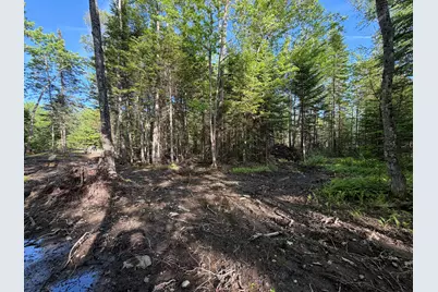 Lot 12-001 Off North Guilford Road, Monson, ME 04464 - Photo 27