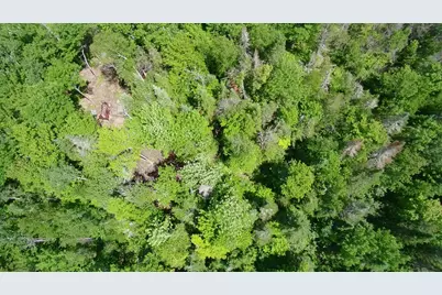Lot 12-001 Off North Guilford Road, Monson, ME 04464 - Photo 37