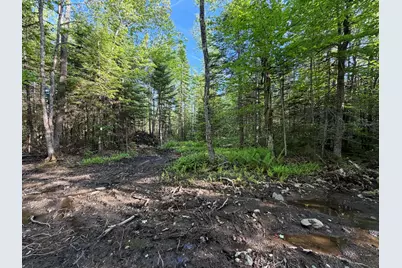 Lot 12-001 Off North Guilford Road, Monson, ME 04464 - Photo 21