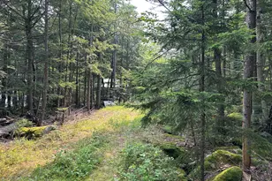 Lot 12-4 McNulty Ln, Rome, ME 04963 - Photo 1