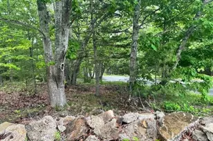 346 N Shore Dr, Owls Head, ME 04854 - Photo 1
