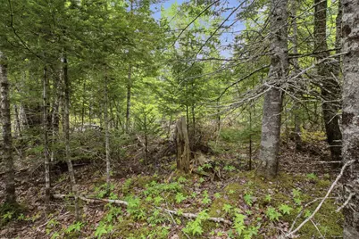 00 Kennebec Road, Machiasport, ME 04655 - Photo 7