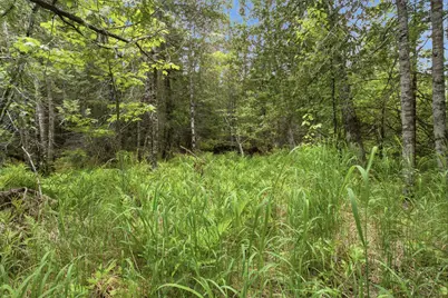 00 Kennebec Road, Machiasport, ME 04655 - Photo 5