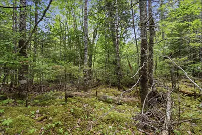 00 Kennebec Road, Machiasport, ME 04655 - Photo 1