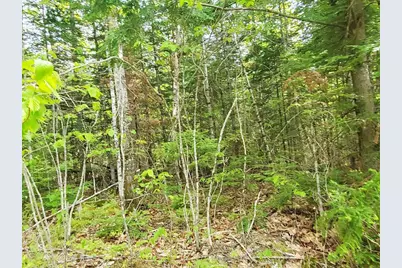 Lot 7 Pleasent Pond Road, Atkinson, ME 04426 - Photo 15
