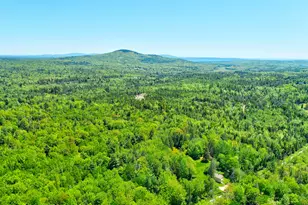655 Hinckley Ridge Rd, Blue Hill, ME 04614 - Photo 21