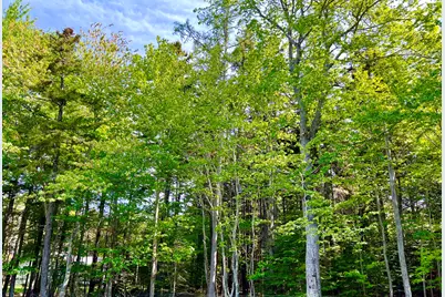 4 Long Pond Road, Southwest Harbor, ME 04679 - Photo 33