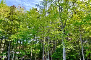 4 Long Pond Rd, Southwest Harbor, ME 04679 - Photo 33