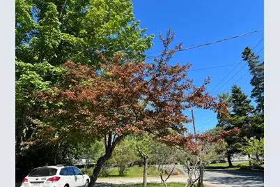 4 Long Pond Road, Southwest Harbor, ME 04679 - Photo 45