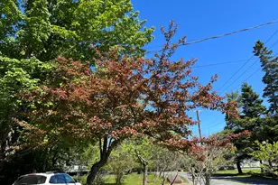4 Long Pond Rd, Southwest Harbor, ME 04679 - Photo 45