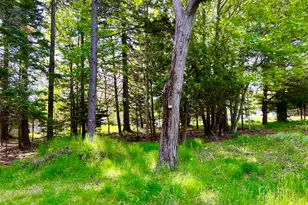 4 Long Pond Rd, Southwest Harbor, ME 04679 - Photo 31