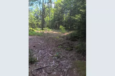 Lot #20 Peaceful Point Road, Waltham, ME 04605 - Photo 11