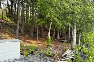 102 Upper Lead Mountain Pond Rd, T22 Md, ME 04408 - Photo 15