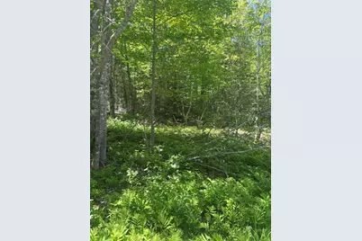 954 Cape Rosier Road, Brooksville, ME 04642 - Photo 7