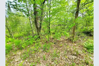 Lot 6 Pleasent Pond Road, Atkinson, ME 04426 - Photo 17