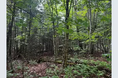 44 Dore Hill Road, Athens, ME 04912 - Photo 3
