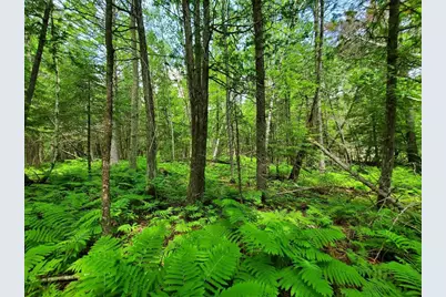 92 Huff Road, Cornville, ME 04976 - Photo 117