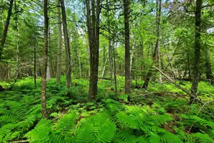 92 Huff Rd, Cornville, ME 04976 - Photo 117