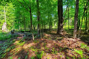 92 Huff Rd, Cornville, ME 04976 - Photo 107