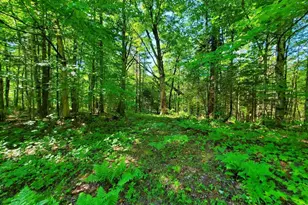 92 Huff Rd, Cornville, ME 04976 - Photo 111