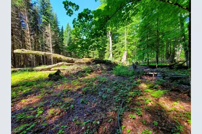 92 Huff Road, Cornville, ME 04976 - Photo 105