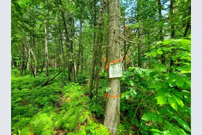 92 Huff Road, Cornville, ME 04976 - Photo 115