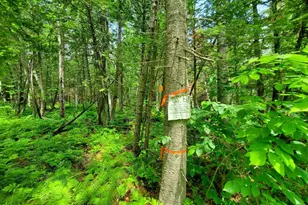 92 Huff Rd, Cornville, ME 04976 - Photo 115