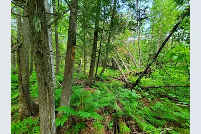 92 Huff Road, Cornville, ME 04976 - Photo 113