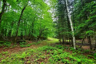 92 Huff Rd, Cornville, ME 04976 - Photo 81