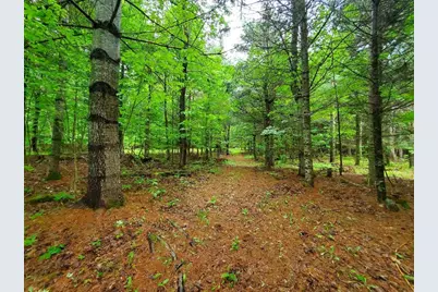 92 Huff Road, Cornville, ME 04976 - Photo 75