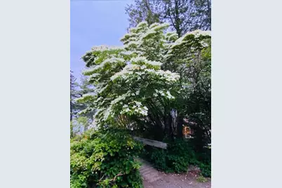 70 Twin Hills Road, Penobscot, ME 04476 - Photo 53
