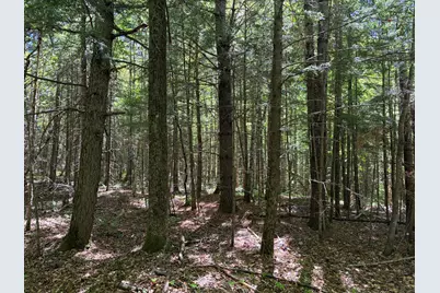 Lot 1 Holley Road, Farmington, ME 04938 - Photo 5
